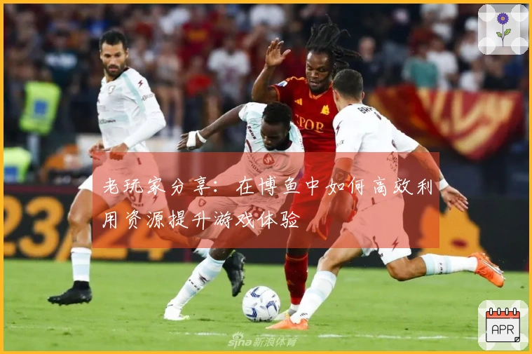 老玩家分享：在博鱼中如何高效利用资源提升游戏体验