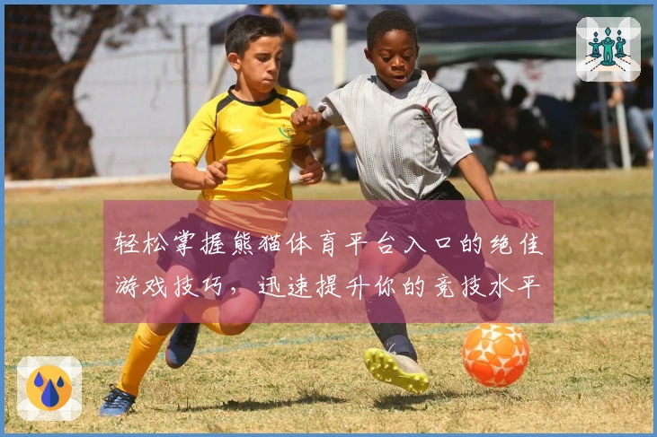轻松掌握熊猫体育平台入口的绝佳游戏技巧，迅速提升你的竞技水平！